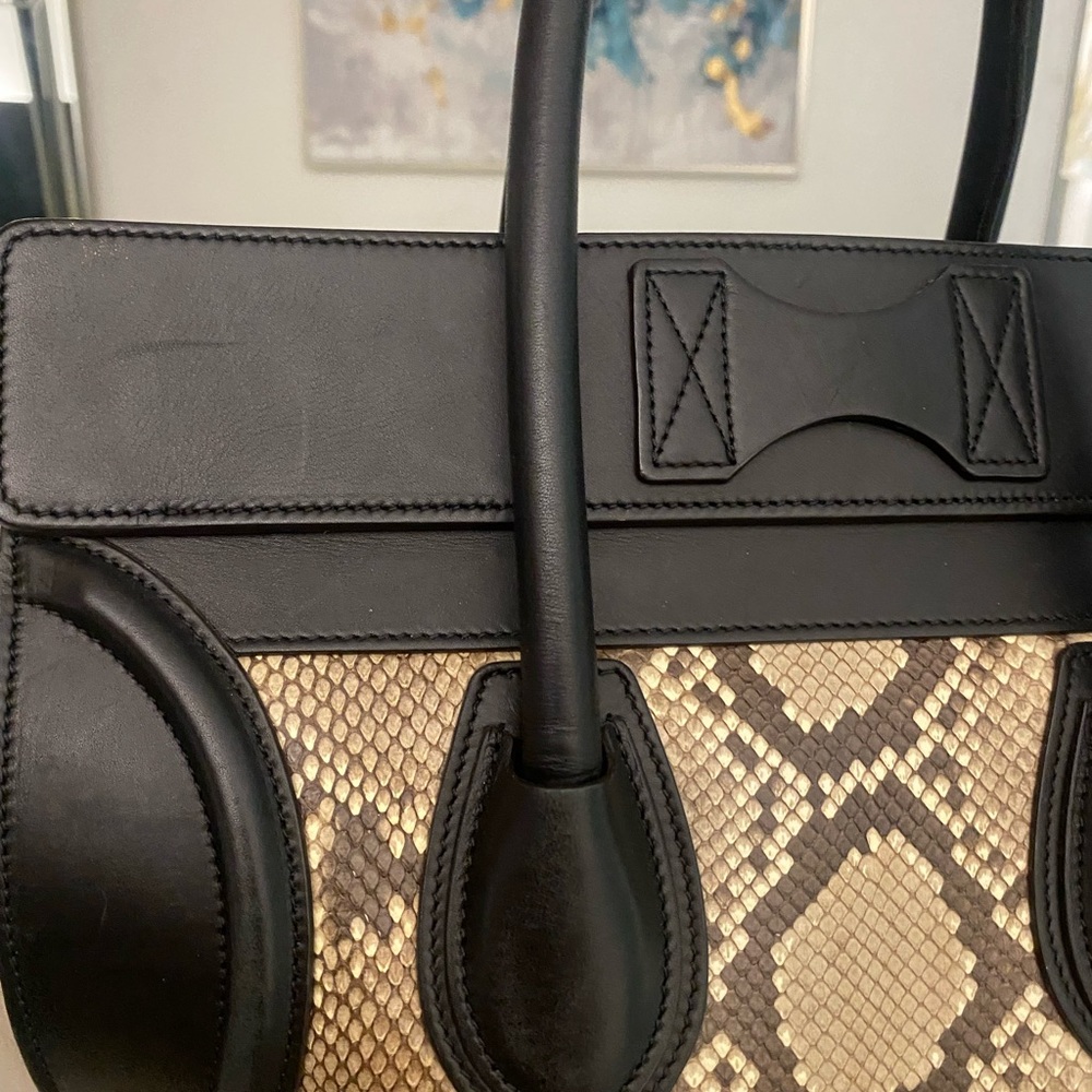 Celine Python 🐍 Handbag - Picture 6 of 13